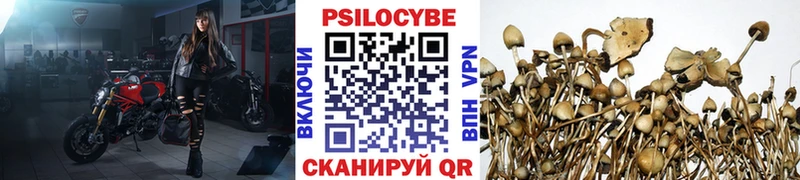 hydra ССЫЛКА  Одинцово  Псилоцибиновые грибы MAGIC MUSHROOMS  где найти наркотики 