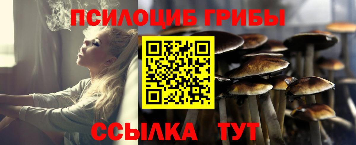 Галлюциногенные грибы Magic Shrooms Одинцово
